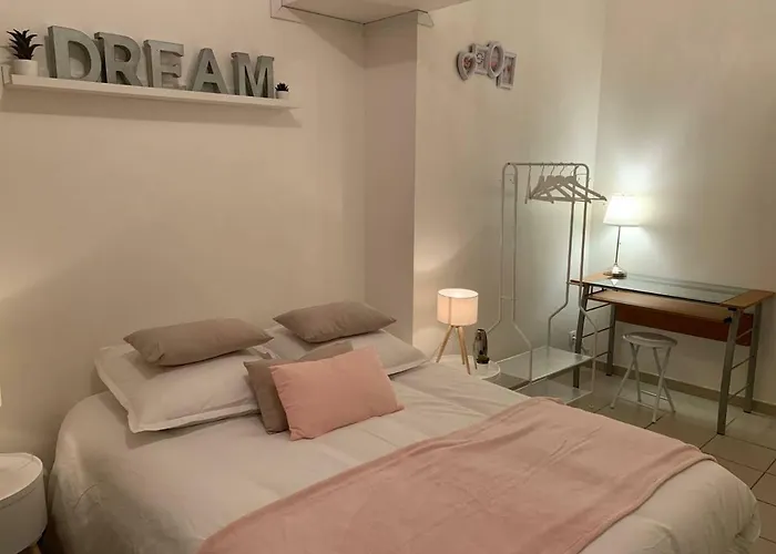 Location Maison Vacances T2 PROCHE CENTRE VILLE PLAGE JARDIN DIOR 50 M2